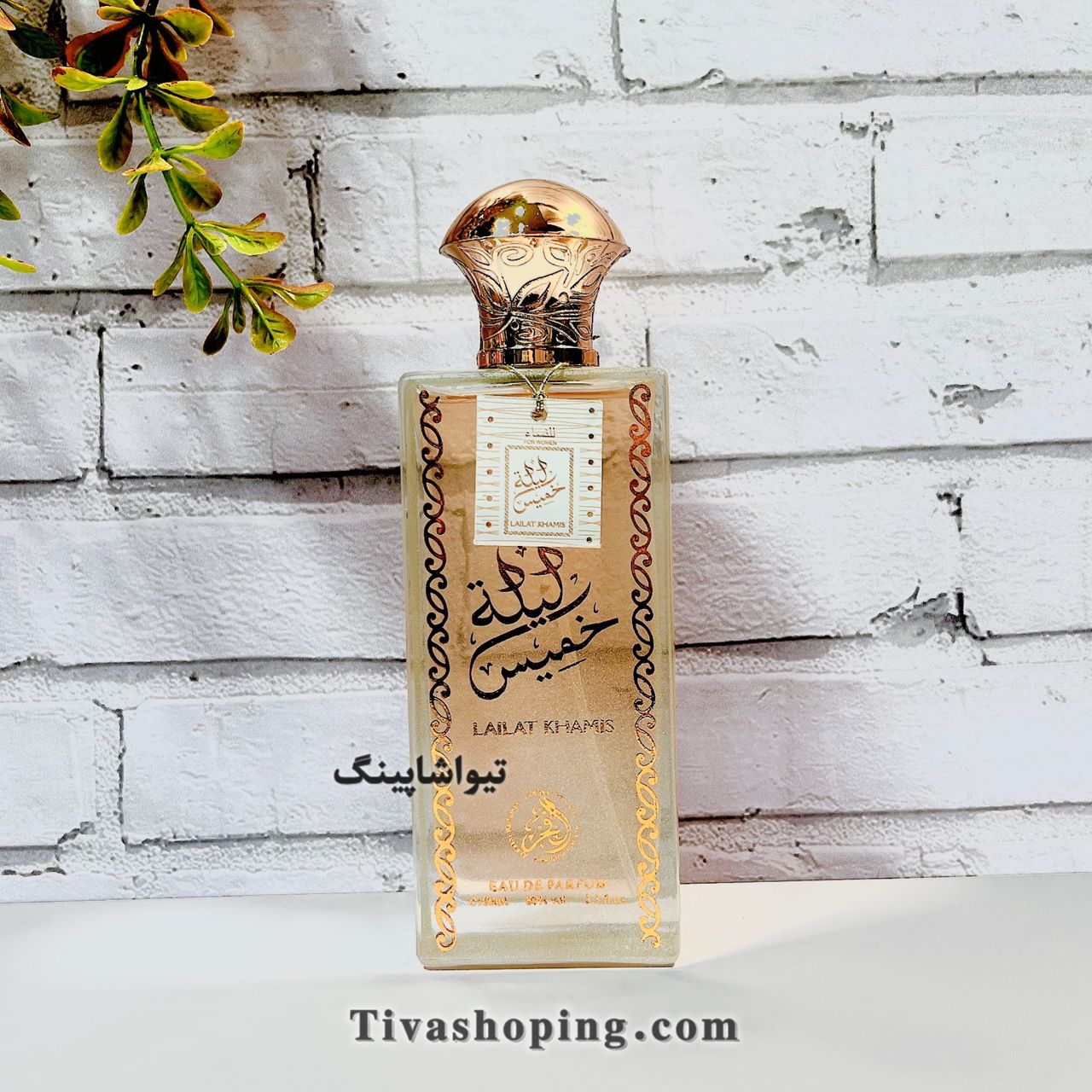 تصویر شماره 4