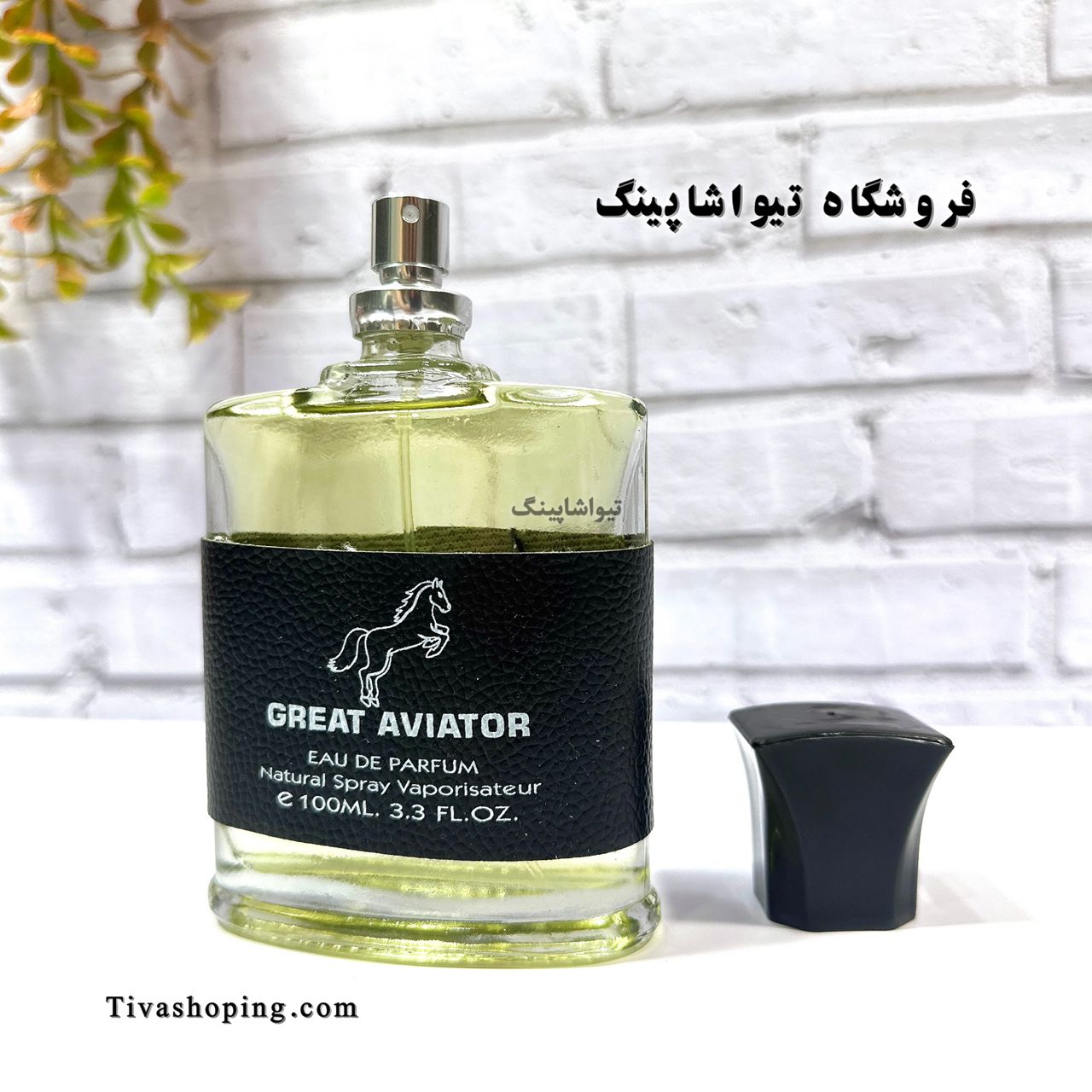 تصویر شماره 5