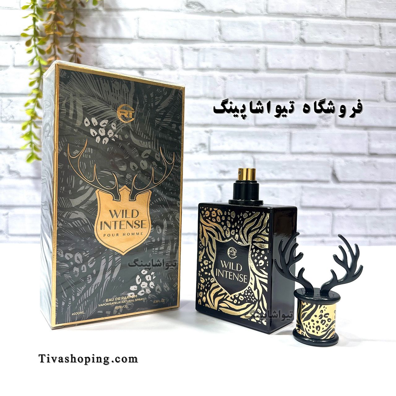 تصویر شماره 7