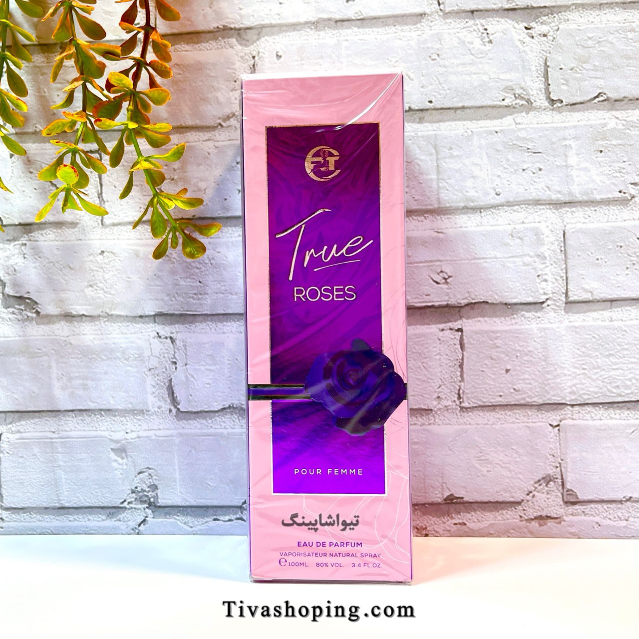 تصویر شماره 4