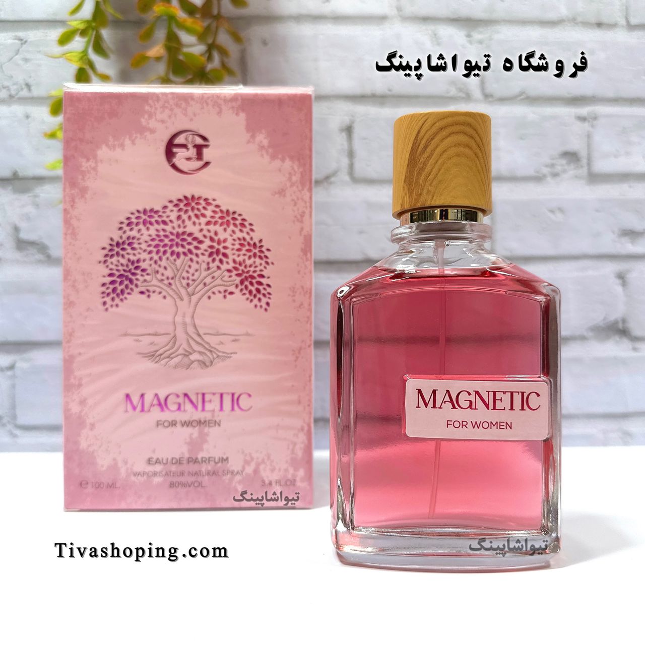 تصویر شماره 1
