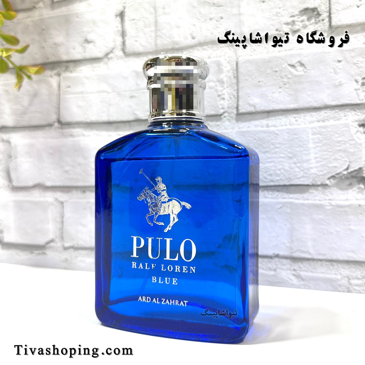 تصویر شماره 5