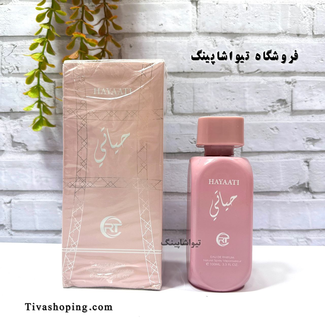 تصویر شماره 5