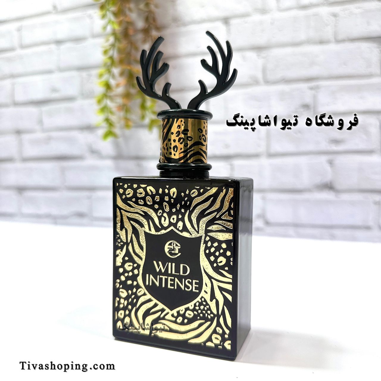 تصویر شماره 5