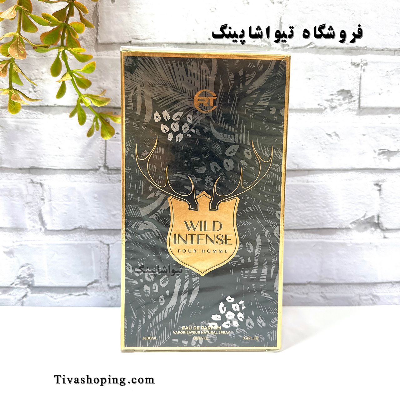 تصویر شماره 2