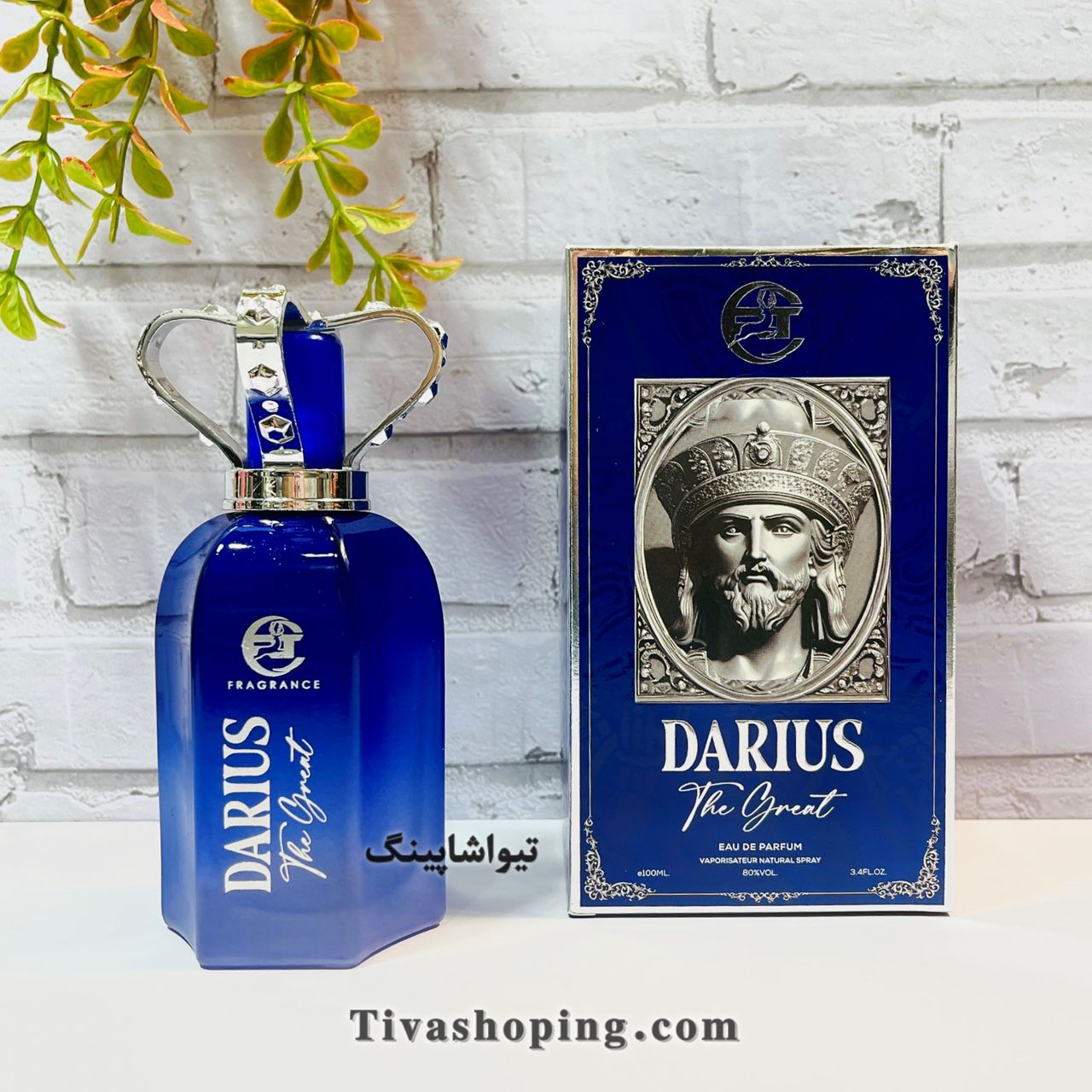 تصویر شماره 1