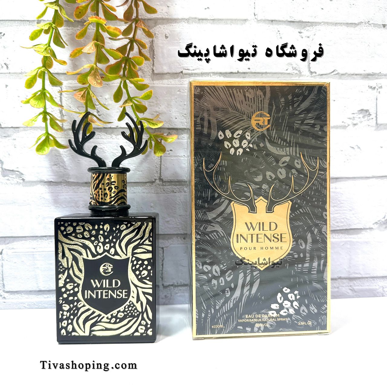 تصویر شماره 3