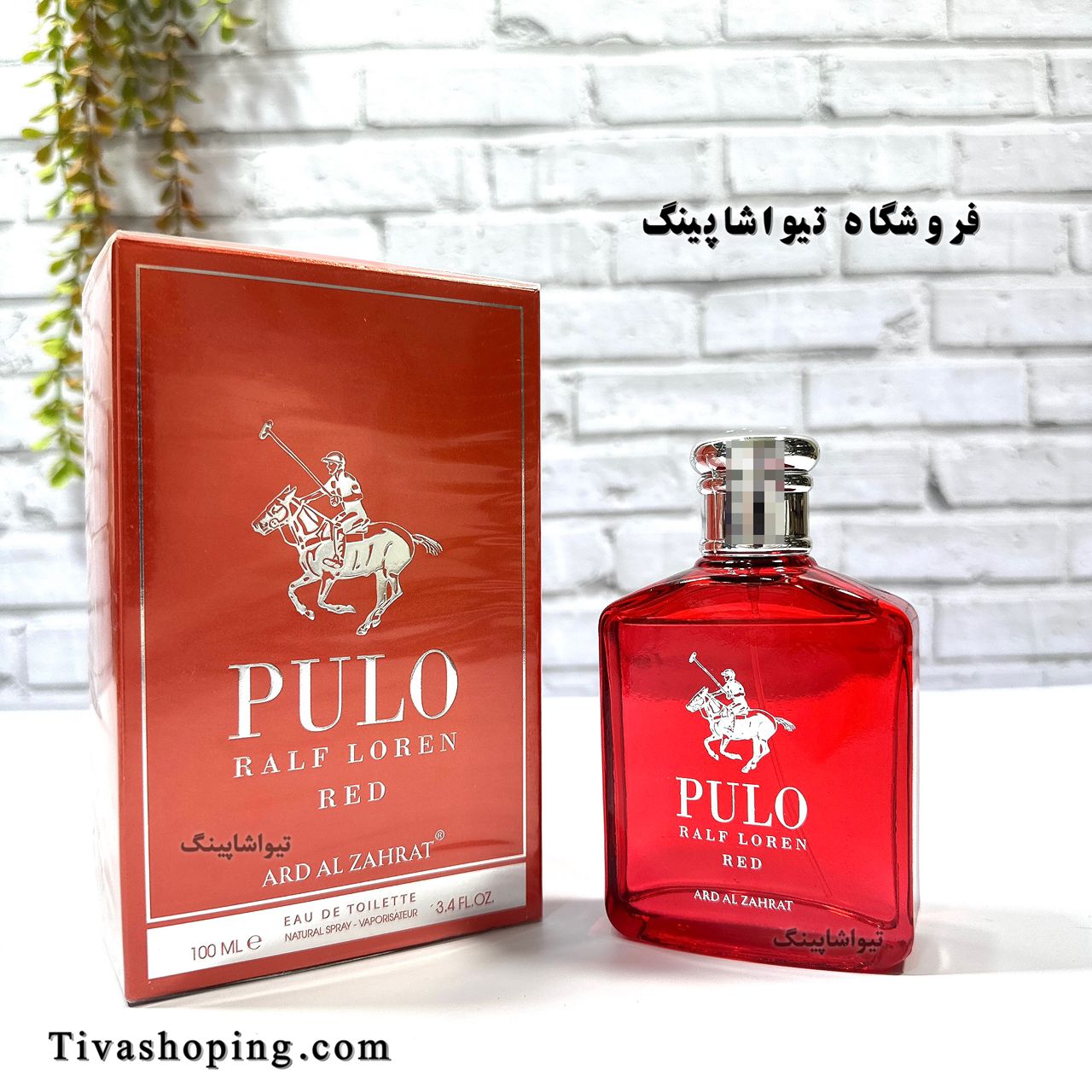 تصویر شماره 1