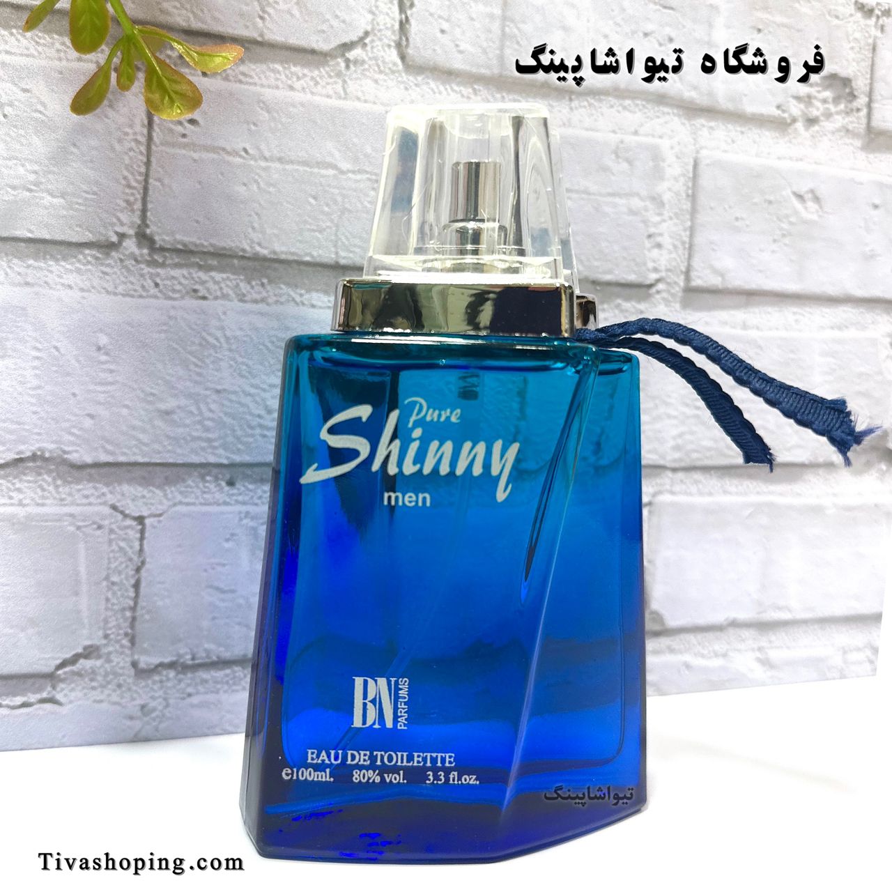 تصویر شماره 4
