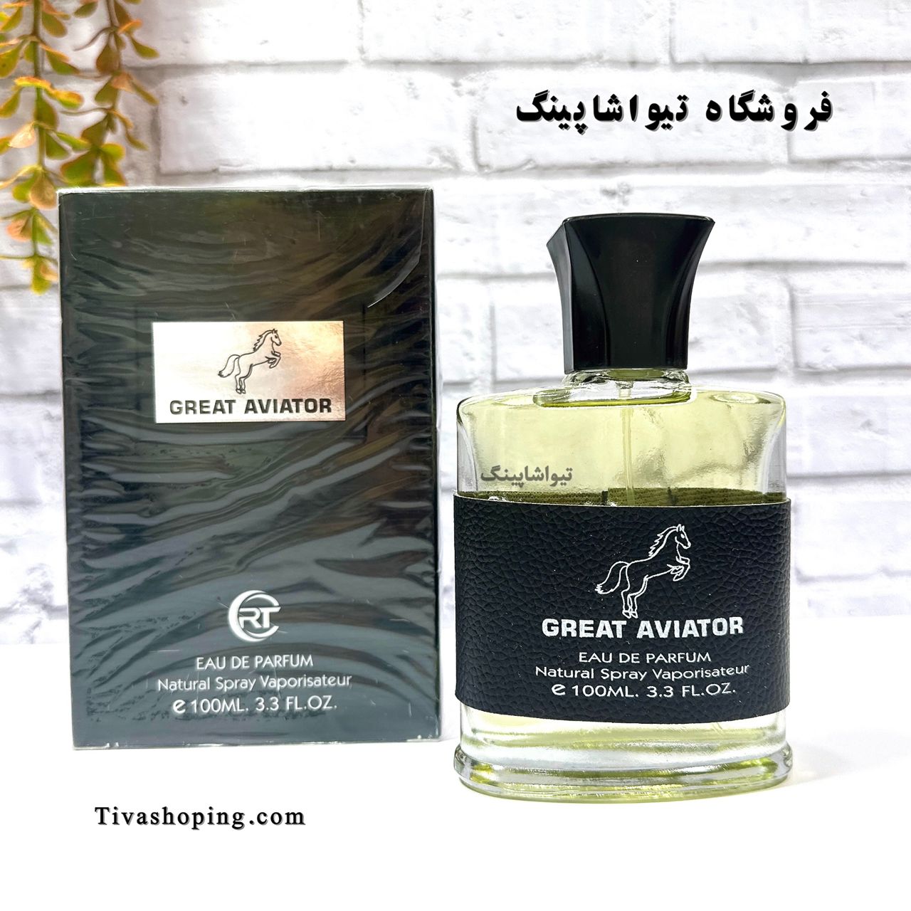 تصویر شماره 4