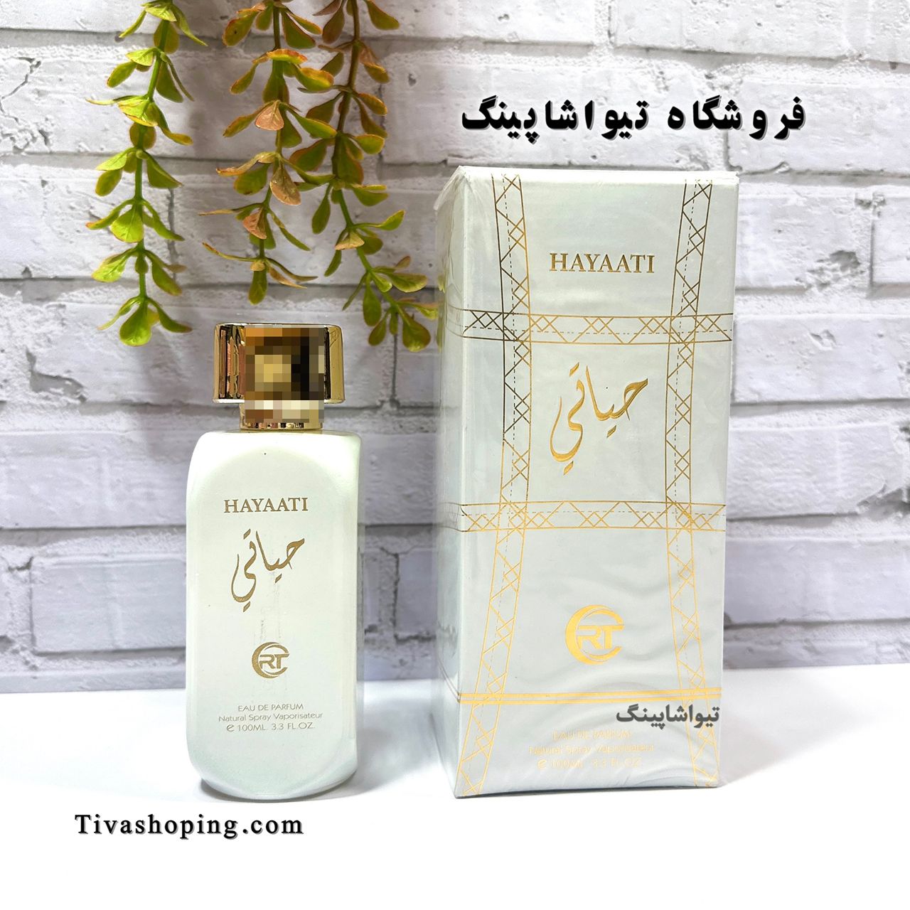 تصویر شماره 2