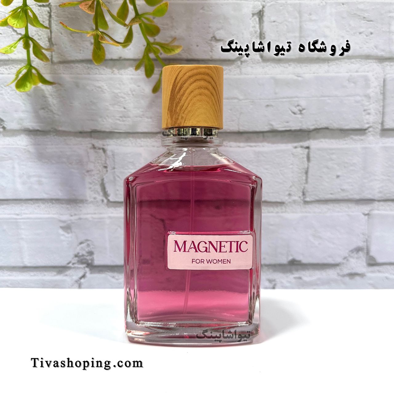 تصویر شماره 5