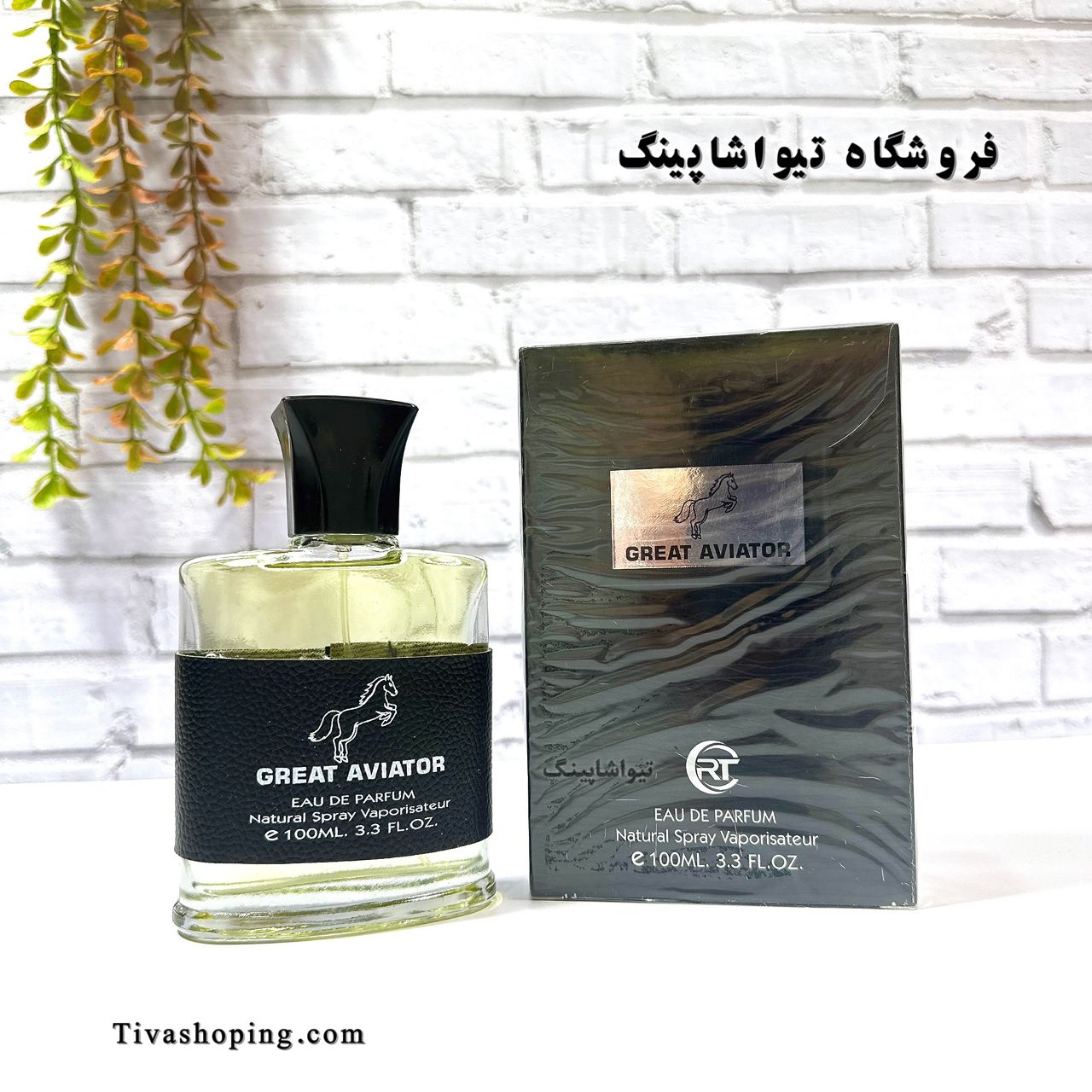 تصویر شماره 1