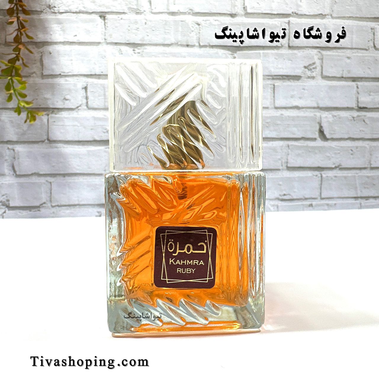 تصویر شماره 6