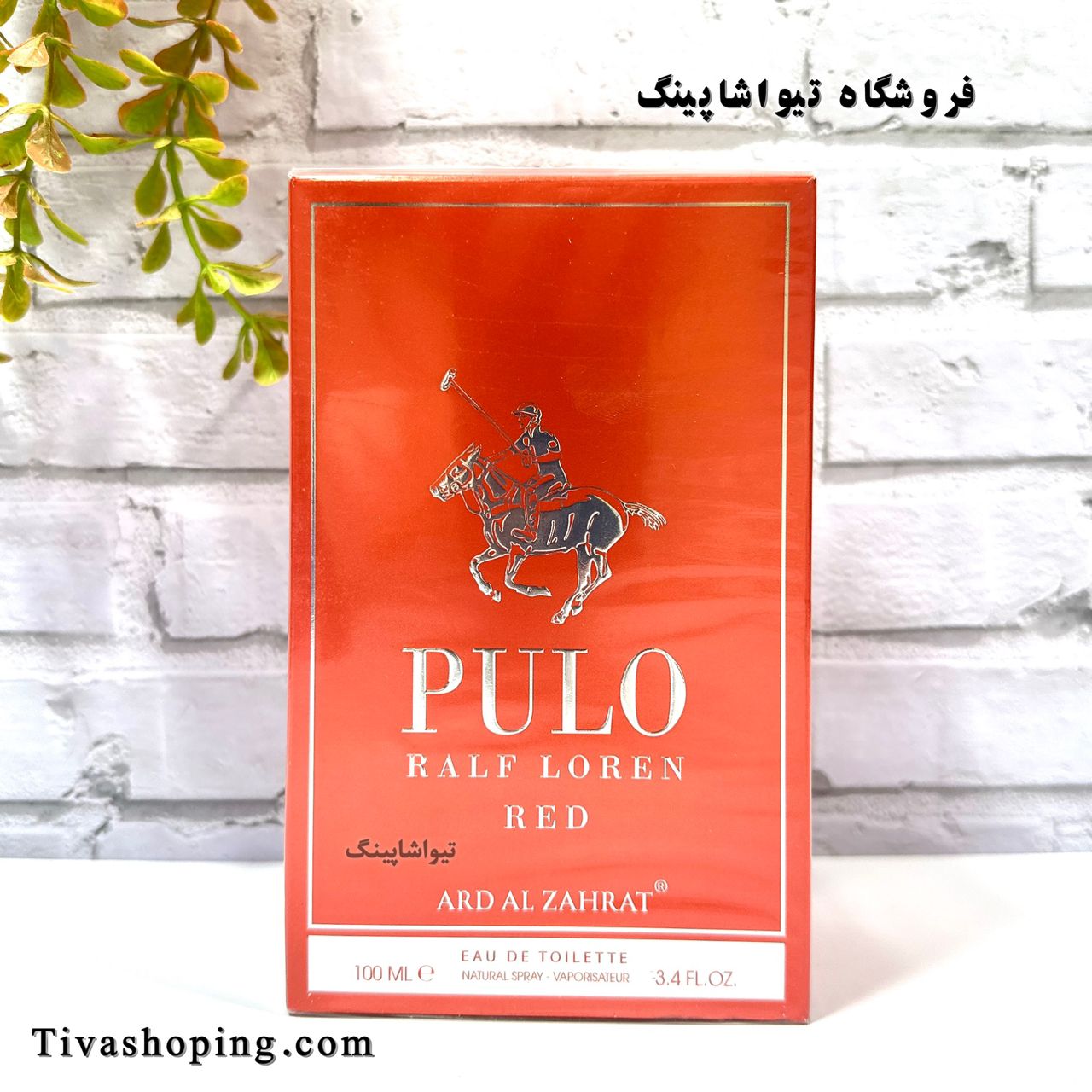 تصویر شماره 3