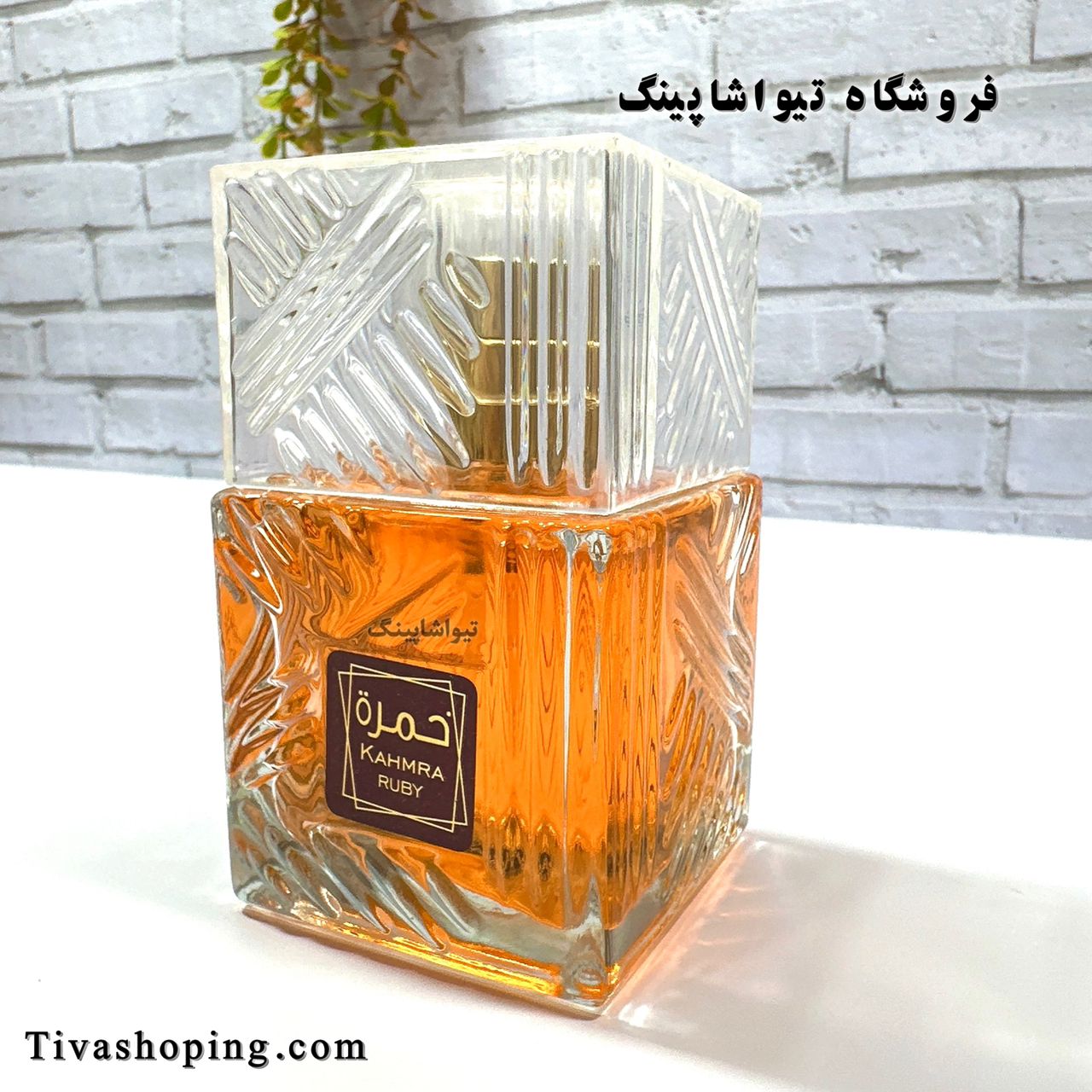 تصویر شماره 3