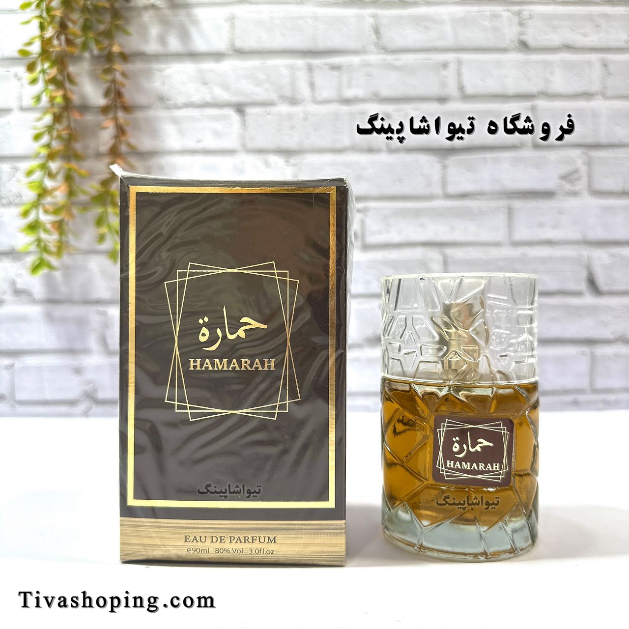 تصویر شماره 2