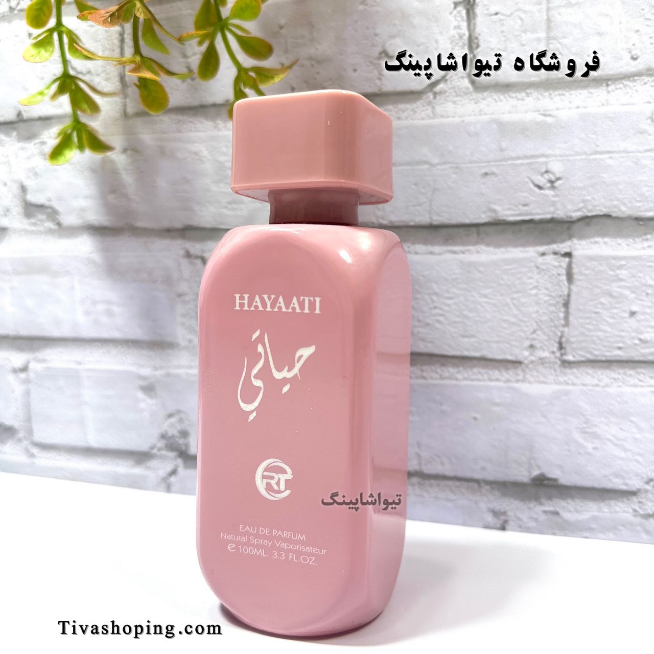 تصویر شماره 4