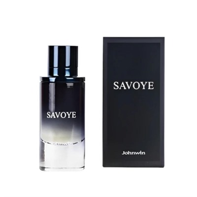 عطر مردانه جانوین مدل دیور ساواج حجم 100 میلی لیتر Jackwins 