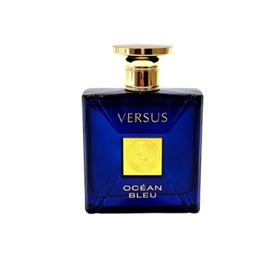 عطر ادکلن فراگرنس ورد ورسوس اوشن بلو (مشابه ورساچه دیلان بلو) | Fragrance World Versus Ocean Bleu