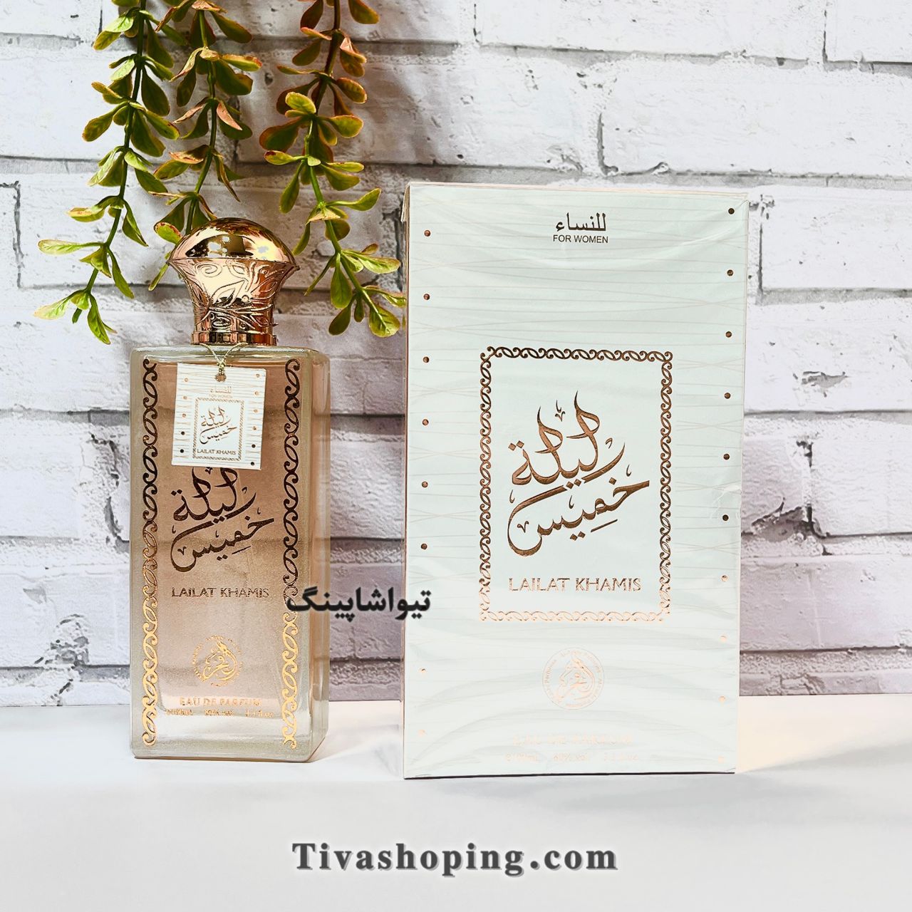 تصویر شماره 3