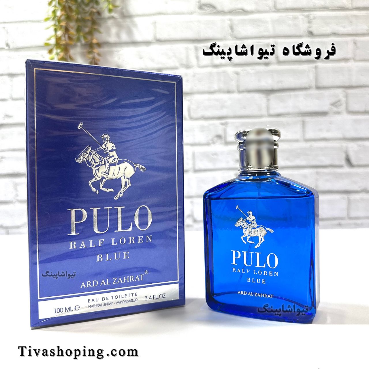 تصویر شماره 2