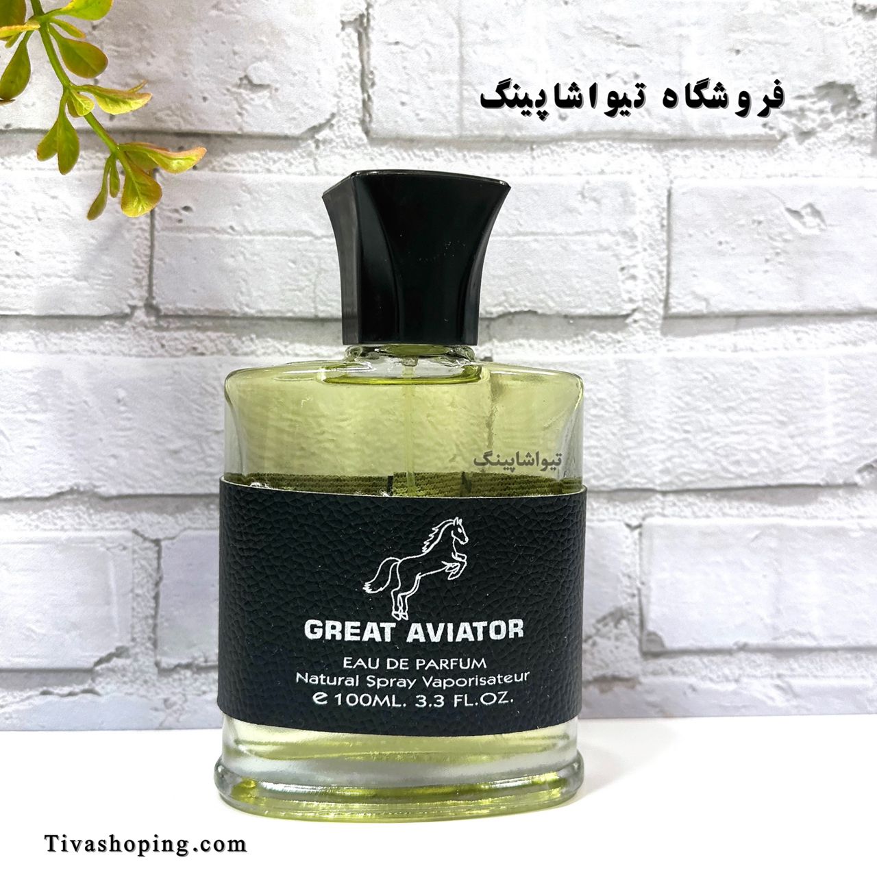 تصویر شماره 3