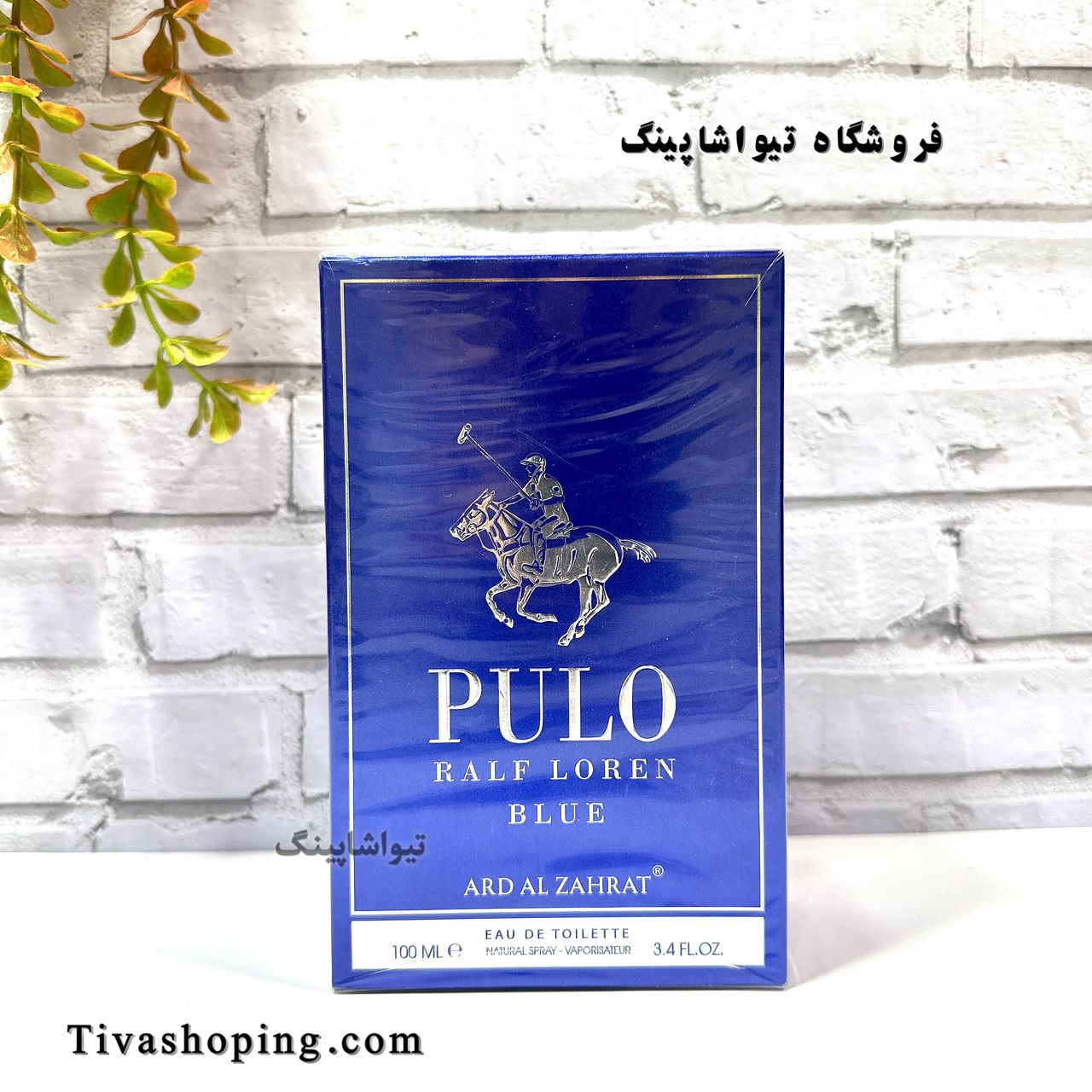 تصویر شماره 6