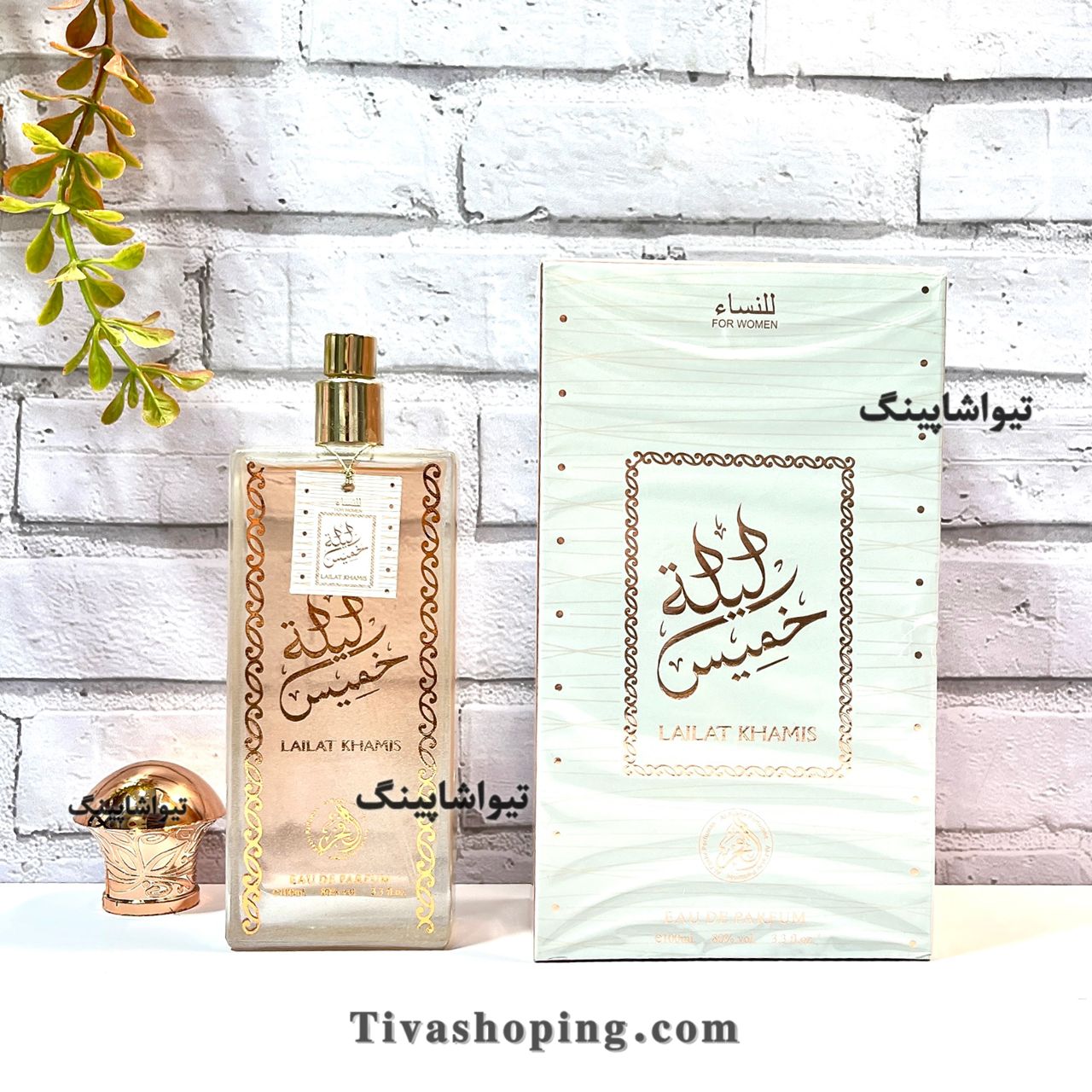 تصویر شماره 5