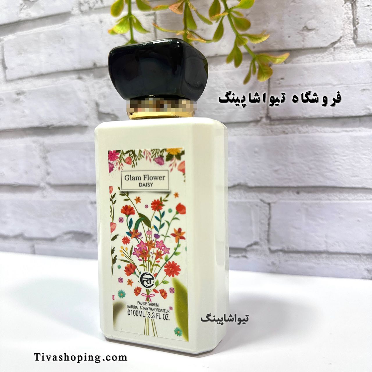 تصویر شماره 4