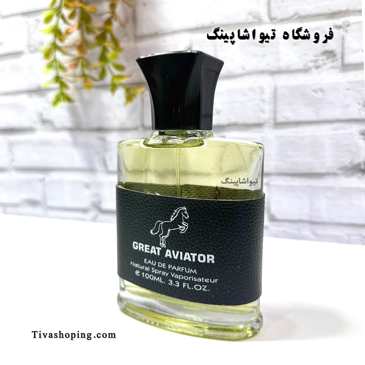 تصویر شماره 6