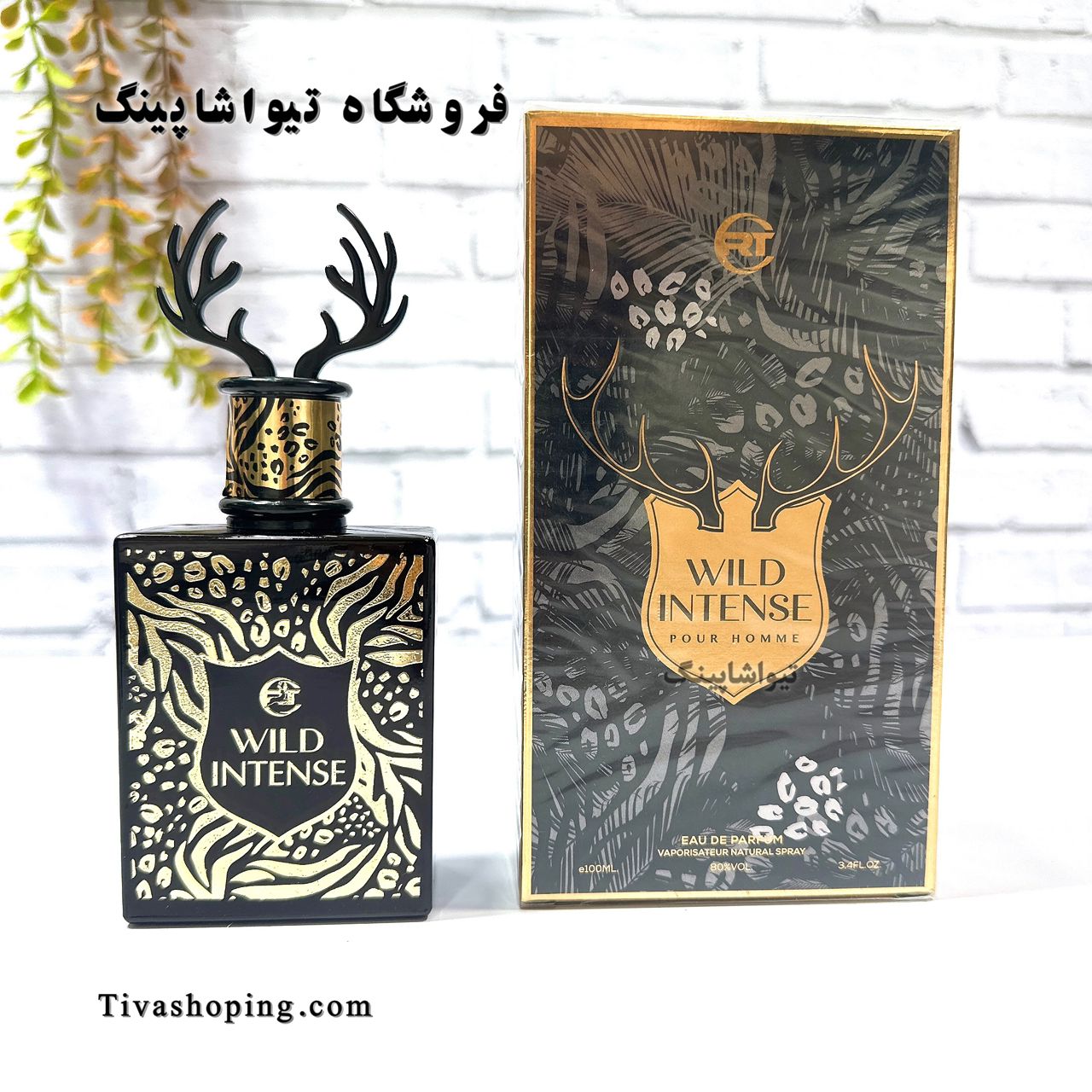 تصویر شماره 1