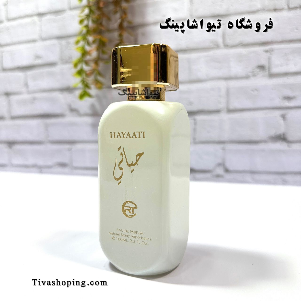 تصویر شماره 4