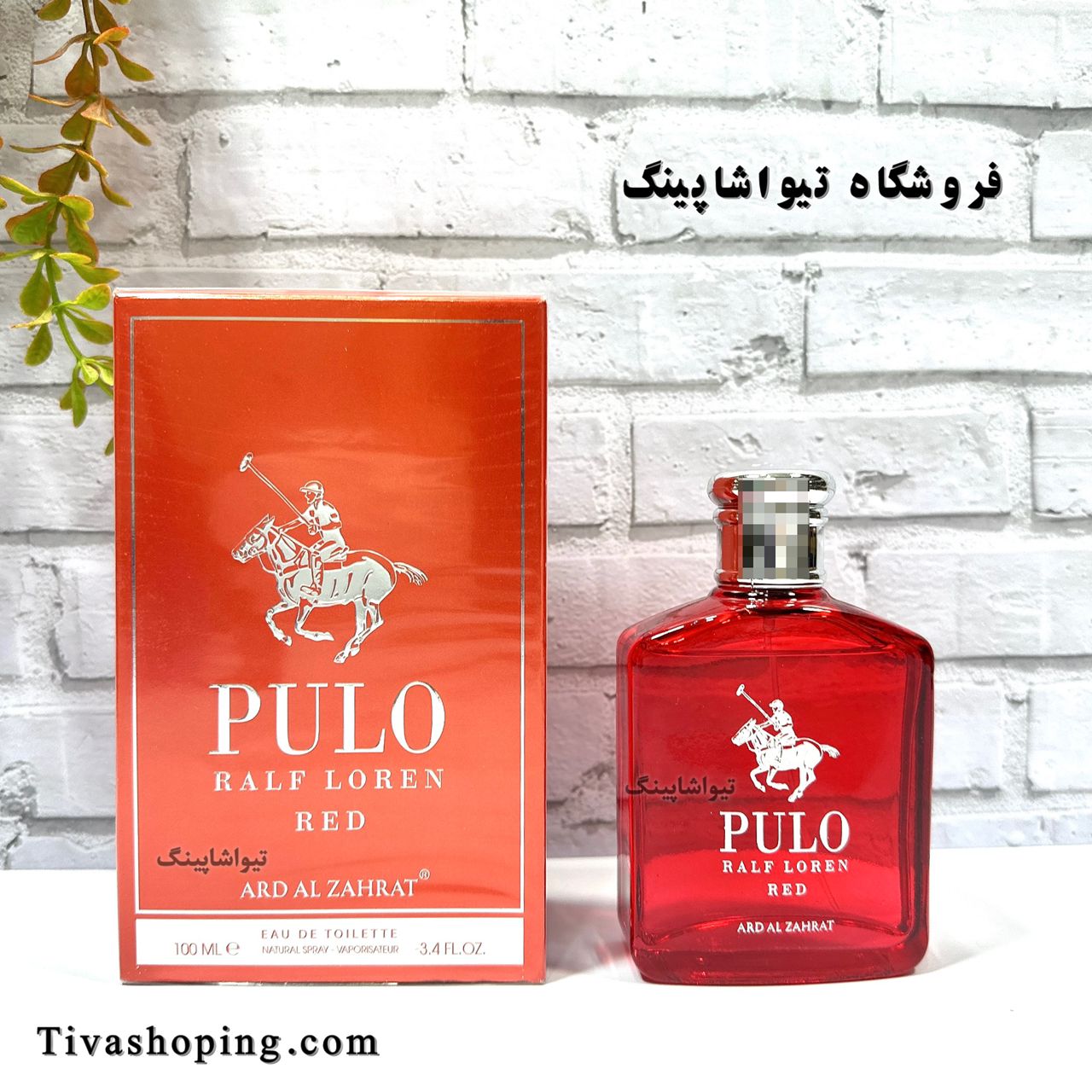 تصویر شماره 2