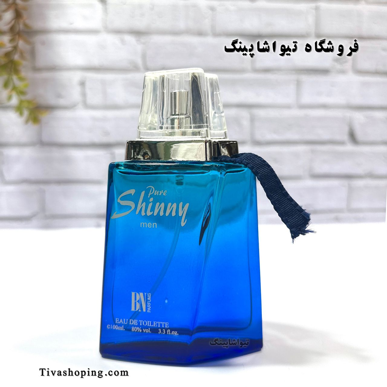 تصویر شماره 3