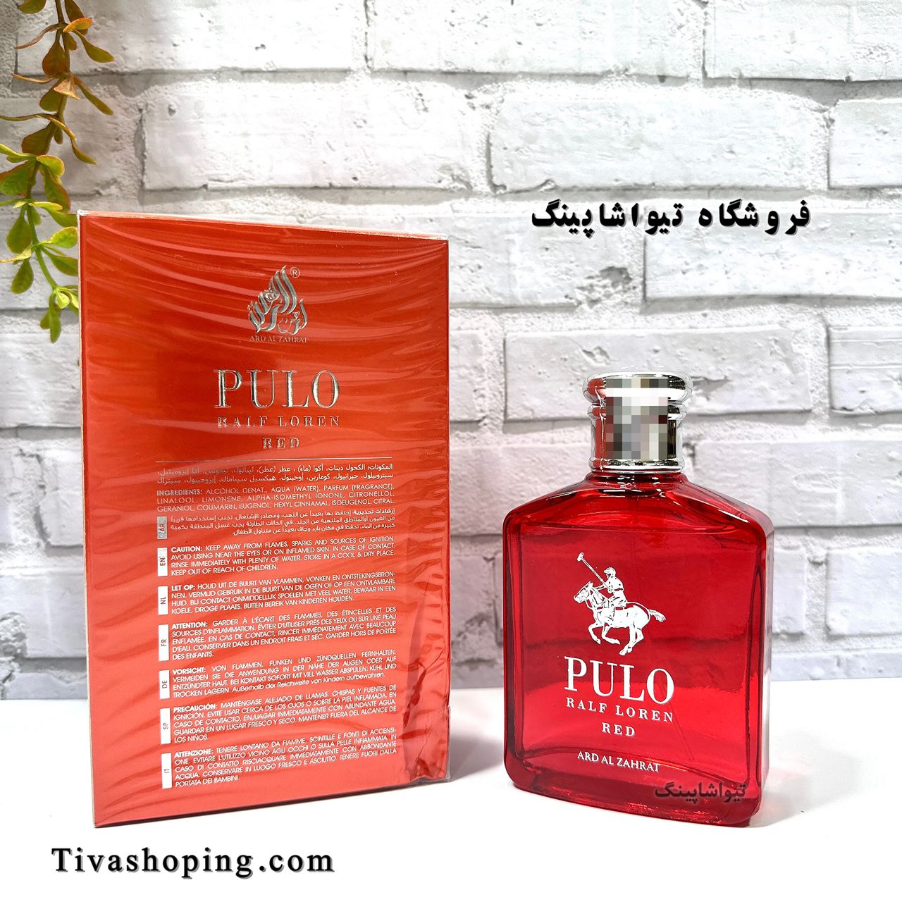 تصویر شماره 5