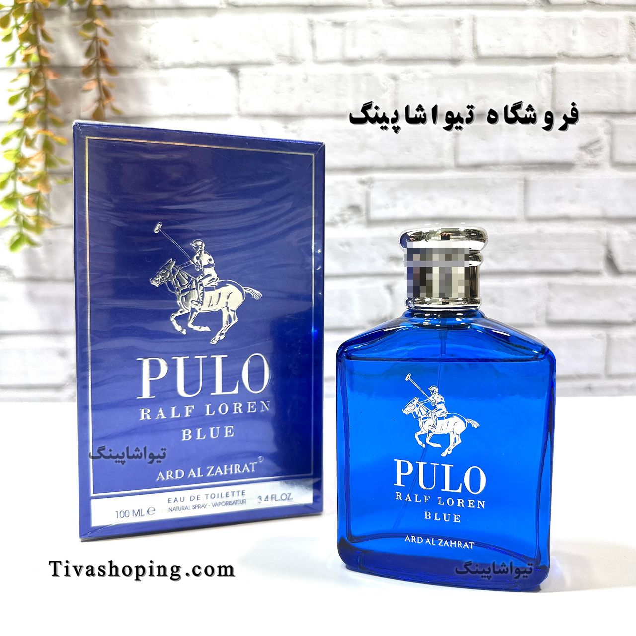 تصویر شماره 1