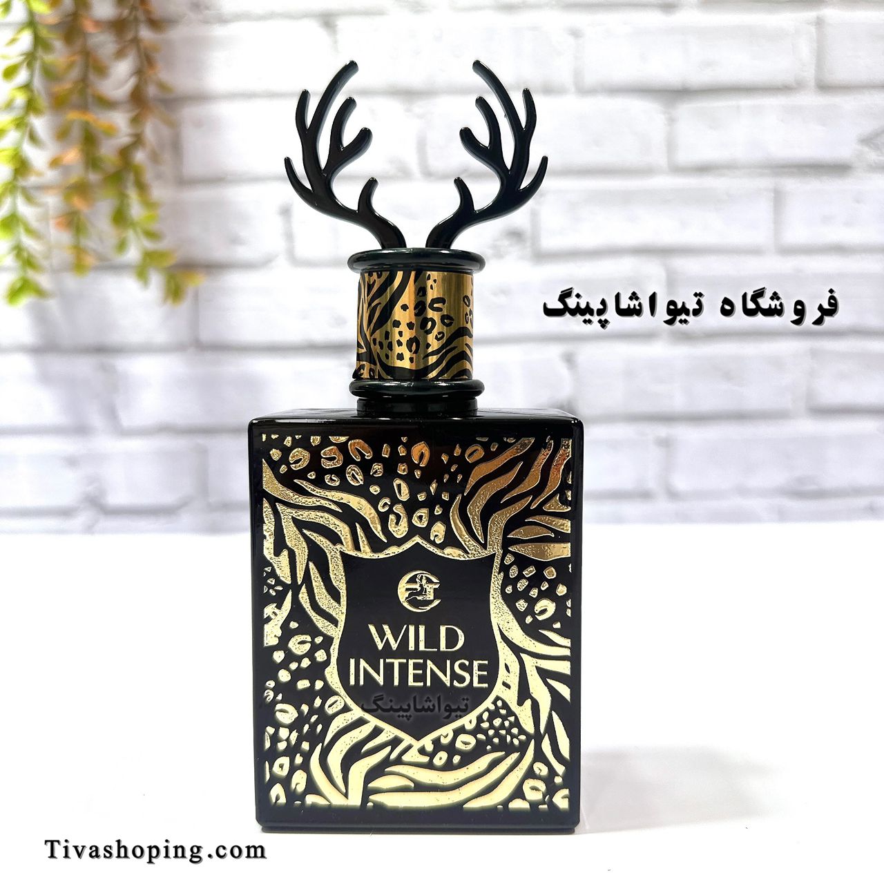 تصویر شماره 6