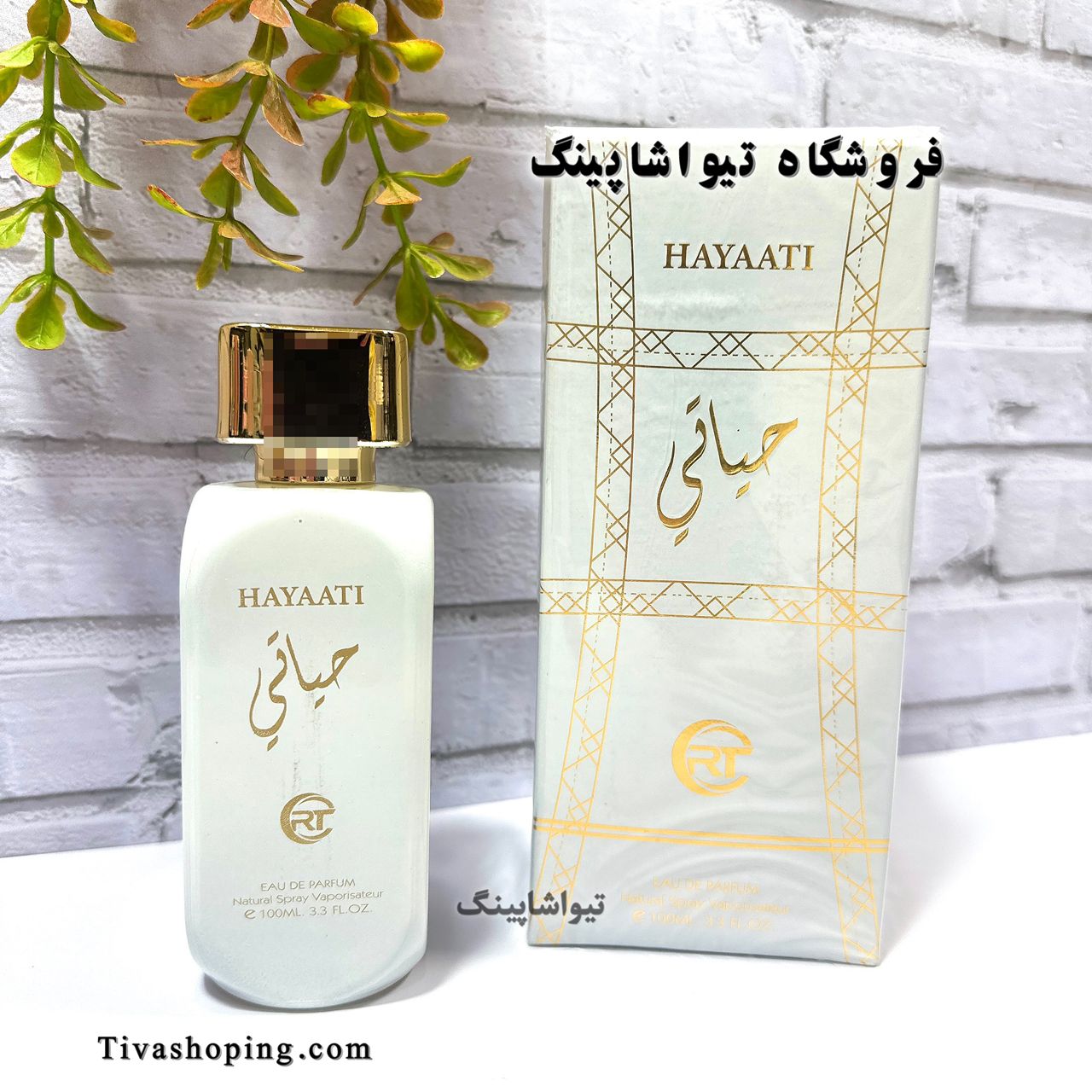 تصویر شماره 1