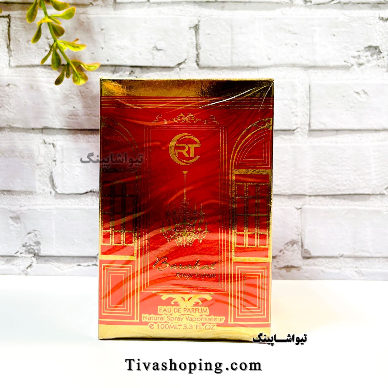 تصویر شماره 4