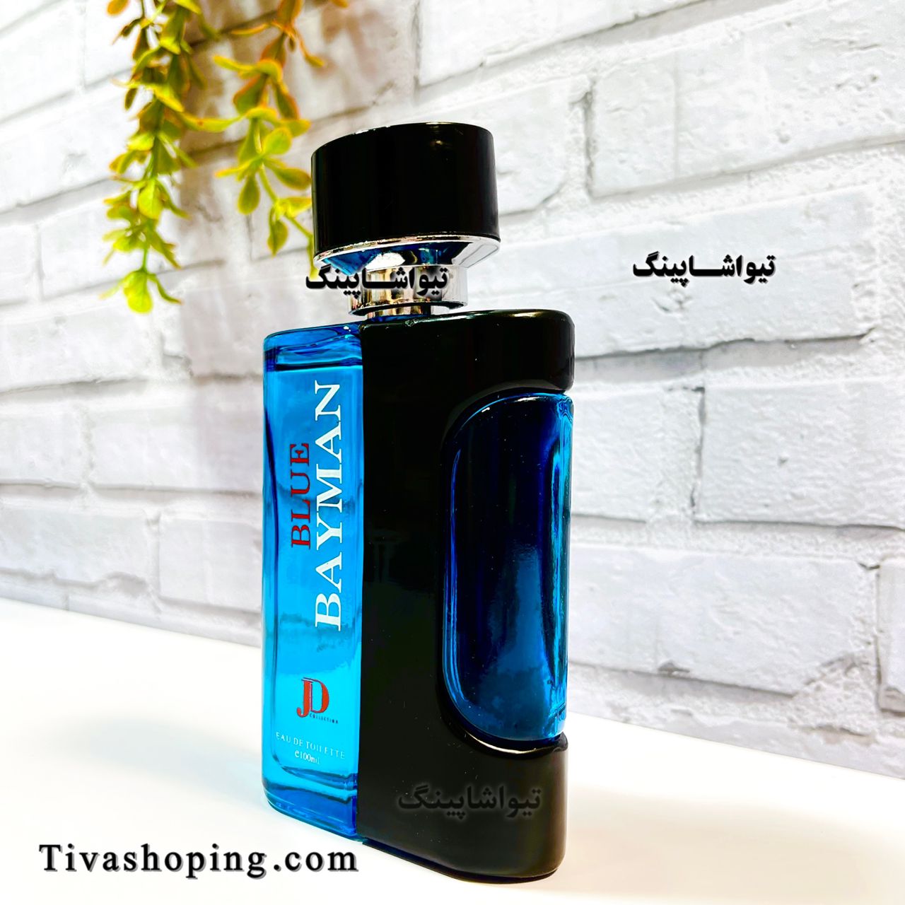 تصویر شماره 4