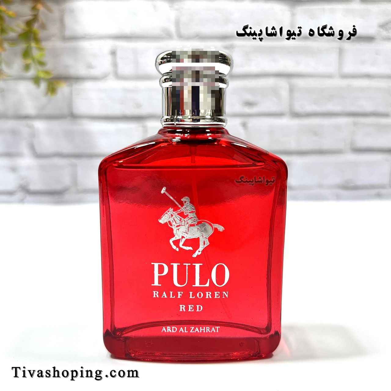 تصویر شماره 6